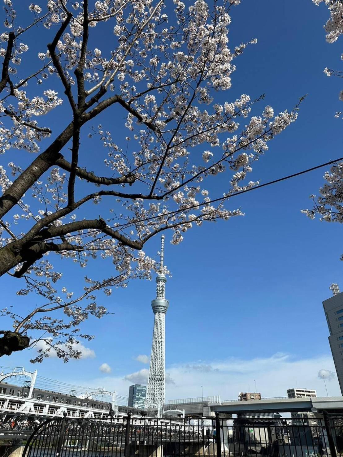 東京雷門ー千の森asakusa Tōkyō Extérieur photo